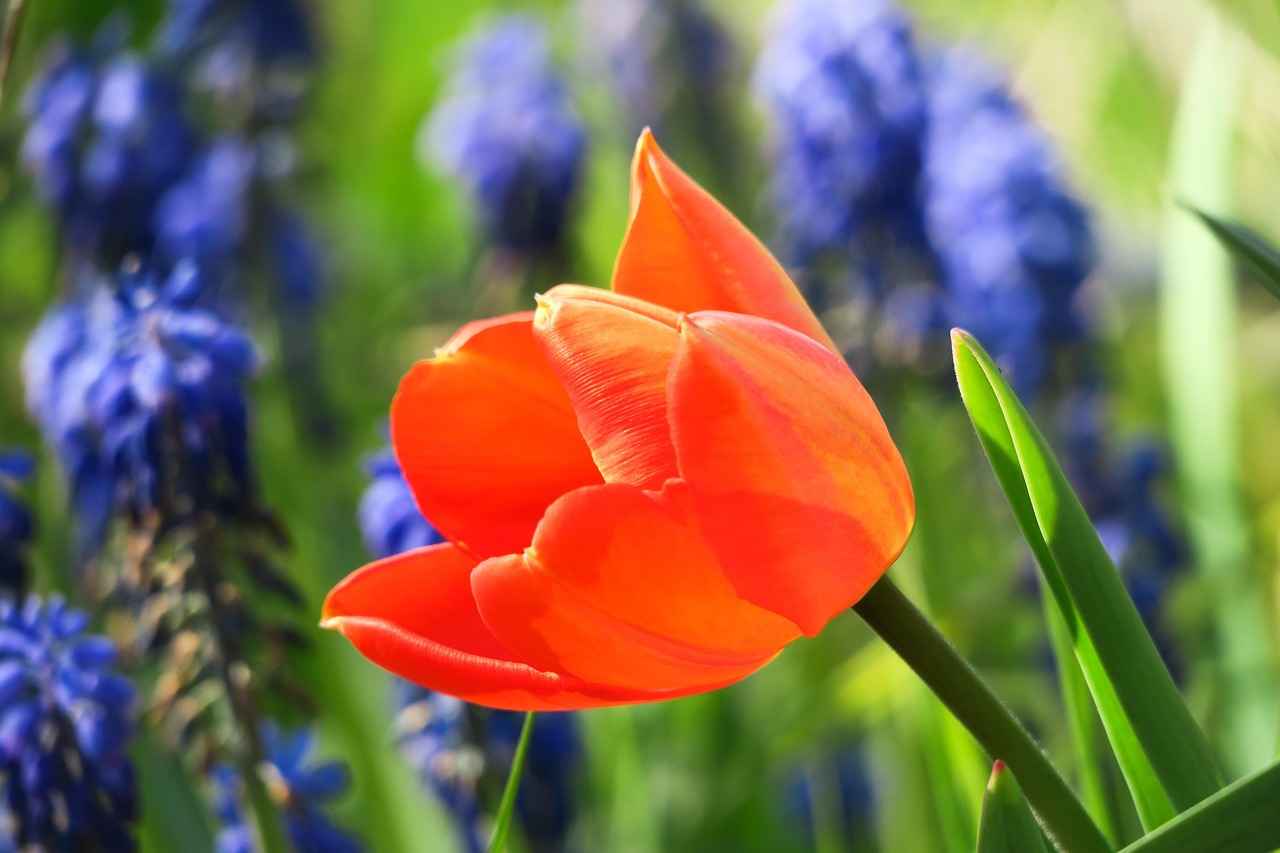 Ofis Kırtasiye Malzemeleri Alırken Dikkat Edilmesi Gerekenler