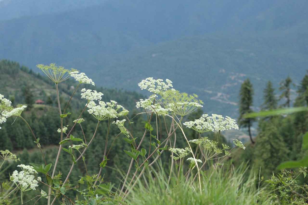 Okul Eşyaları Neden Önemlidir?
