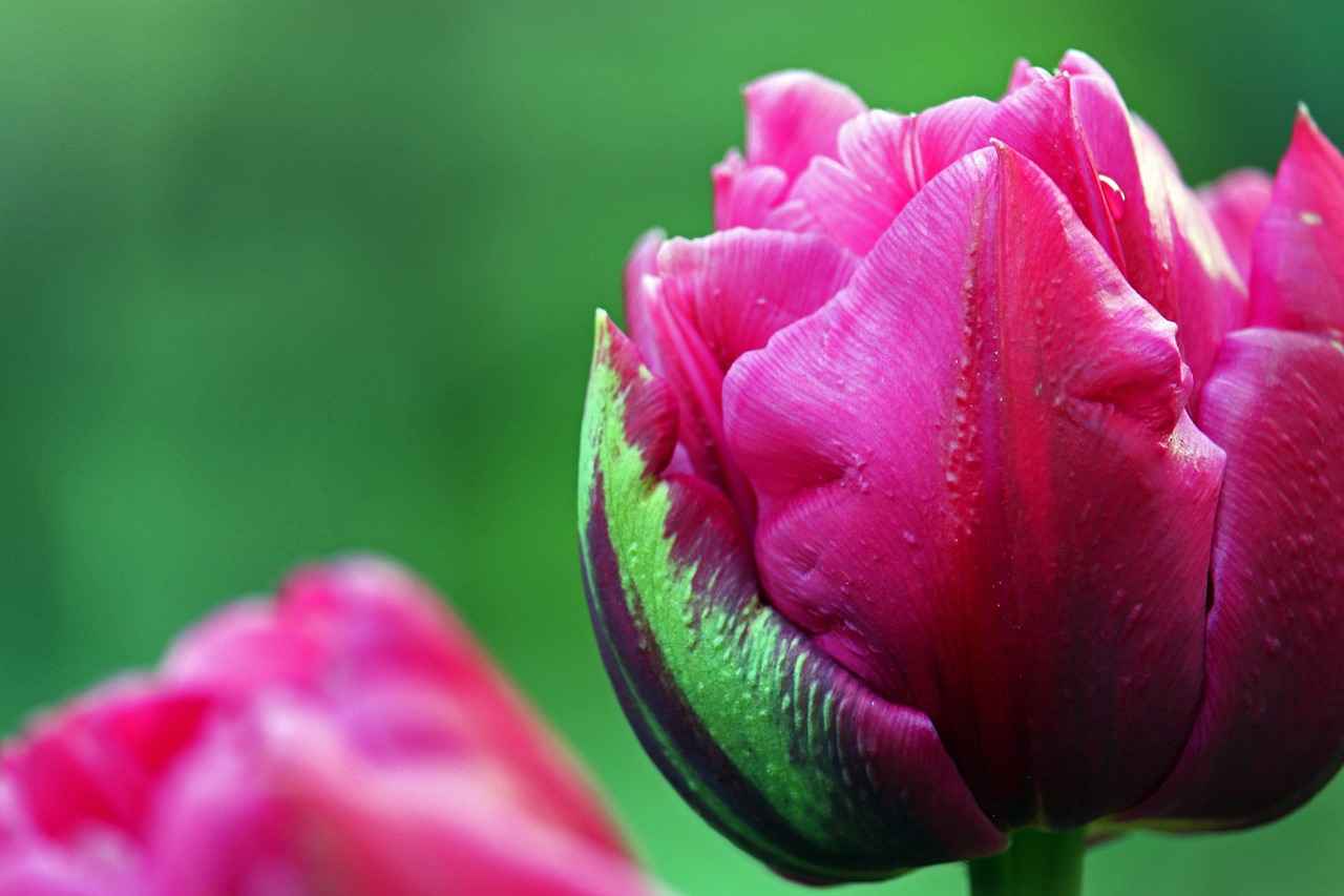 Okul Kalemliklerinin Önemi Nedir?