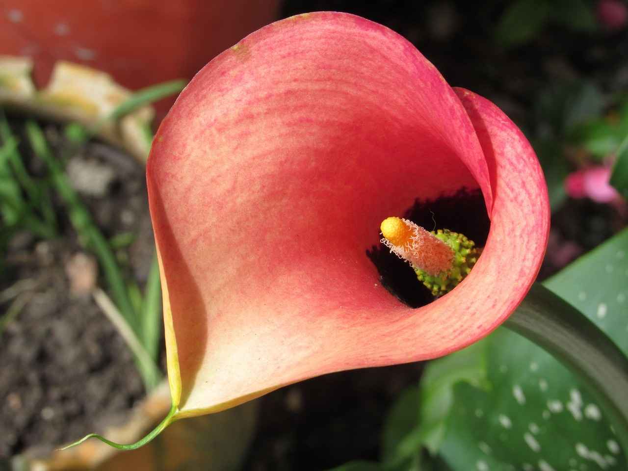 Özel Kalem Kullanımında Bakım İpuçları