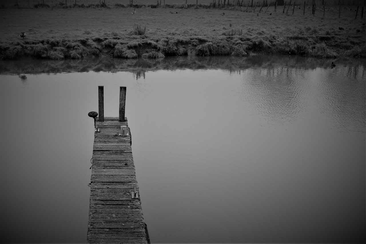 Rapido Kalem Kullanım İpuçları