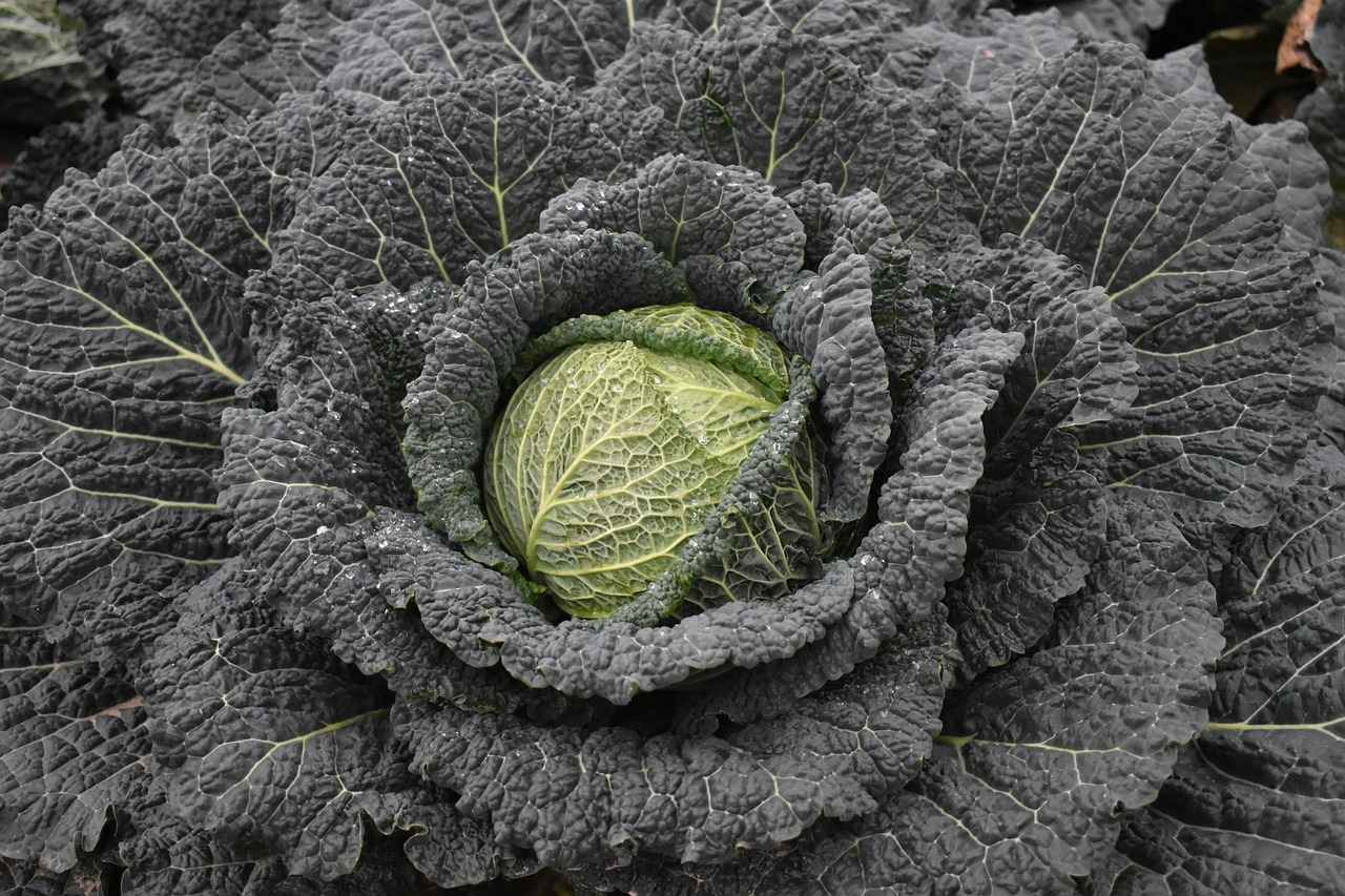 Rotring Kalem Kullanımında İpuçları