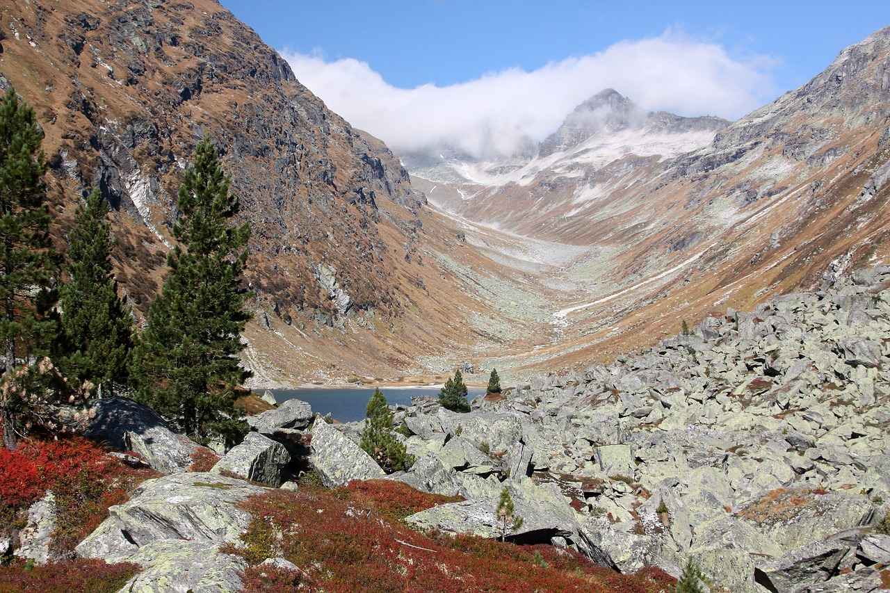 Rotring Kalem Türleri