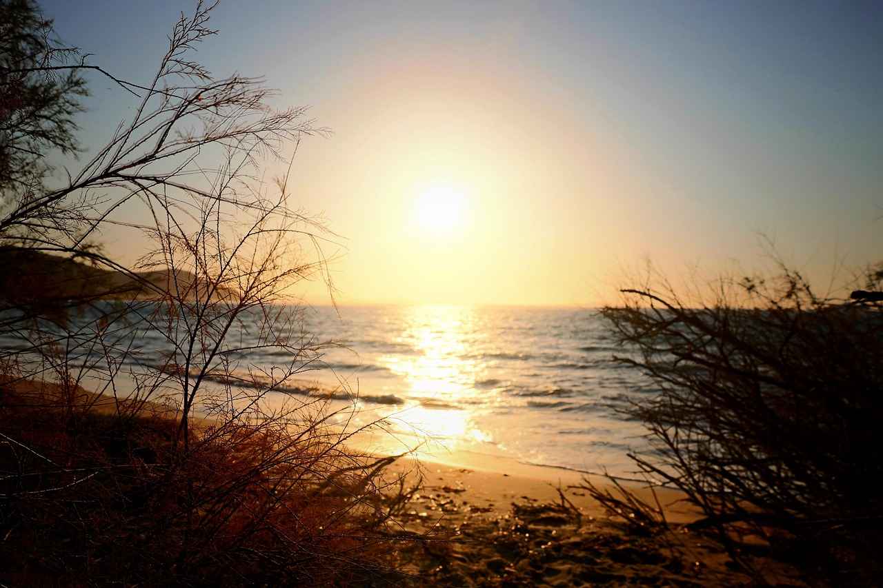 Farklı Süs Eşyası Türleri