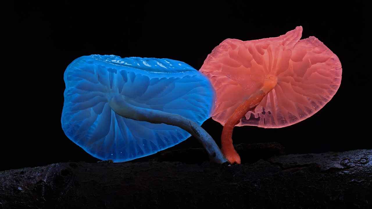 Slime Yapımında Dikkat Edilmesi Gerekenler