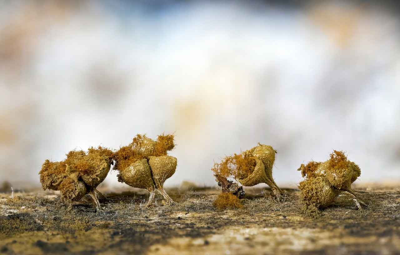 Renk ve Doku Eklemek İçin Malzemeler