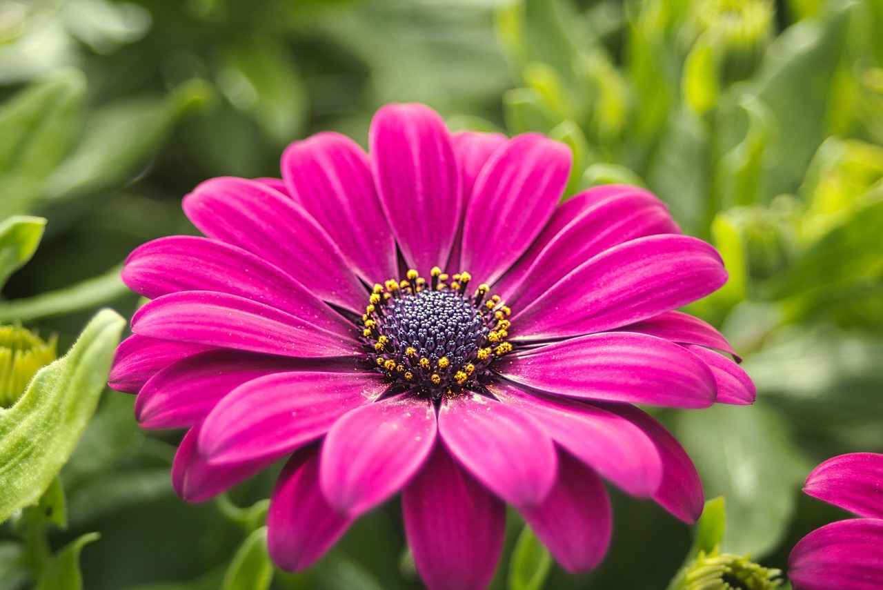 Stylus Kalem Seçerken Dikkat Edilmesi Gerekenler