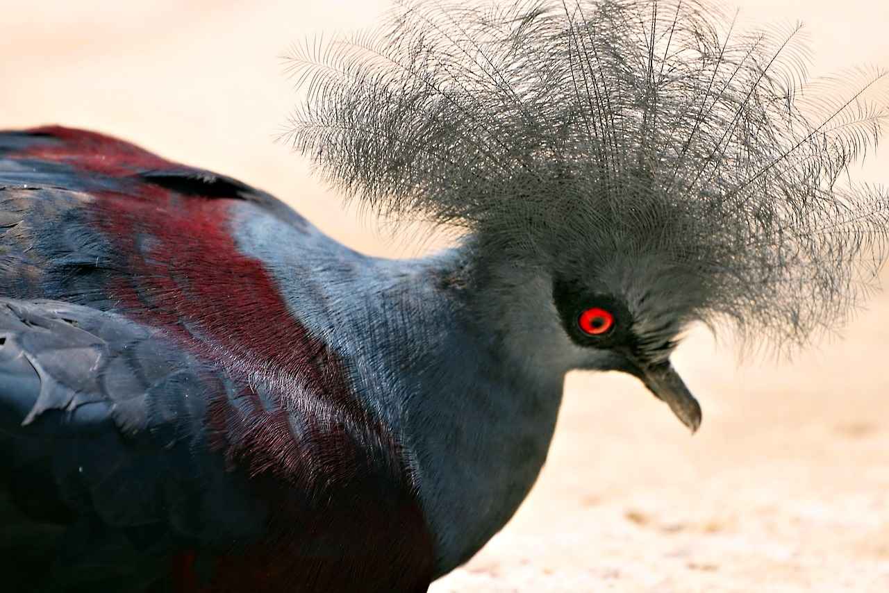 Tebeşir Kullanımı ve Alternatifleri