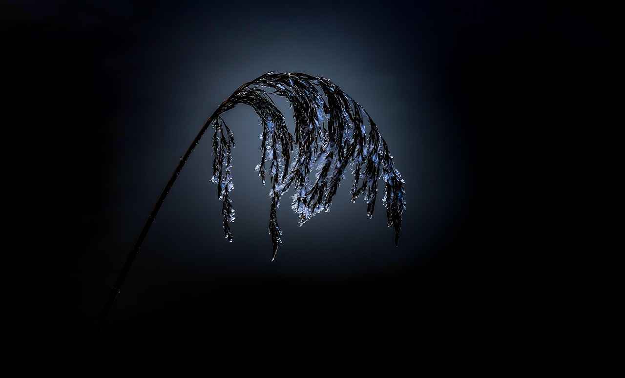 Temrin Defteri Nedir?