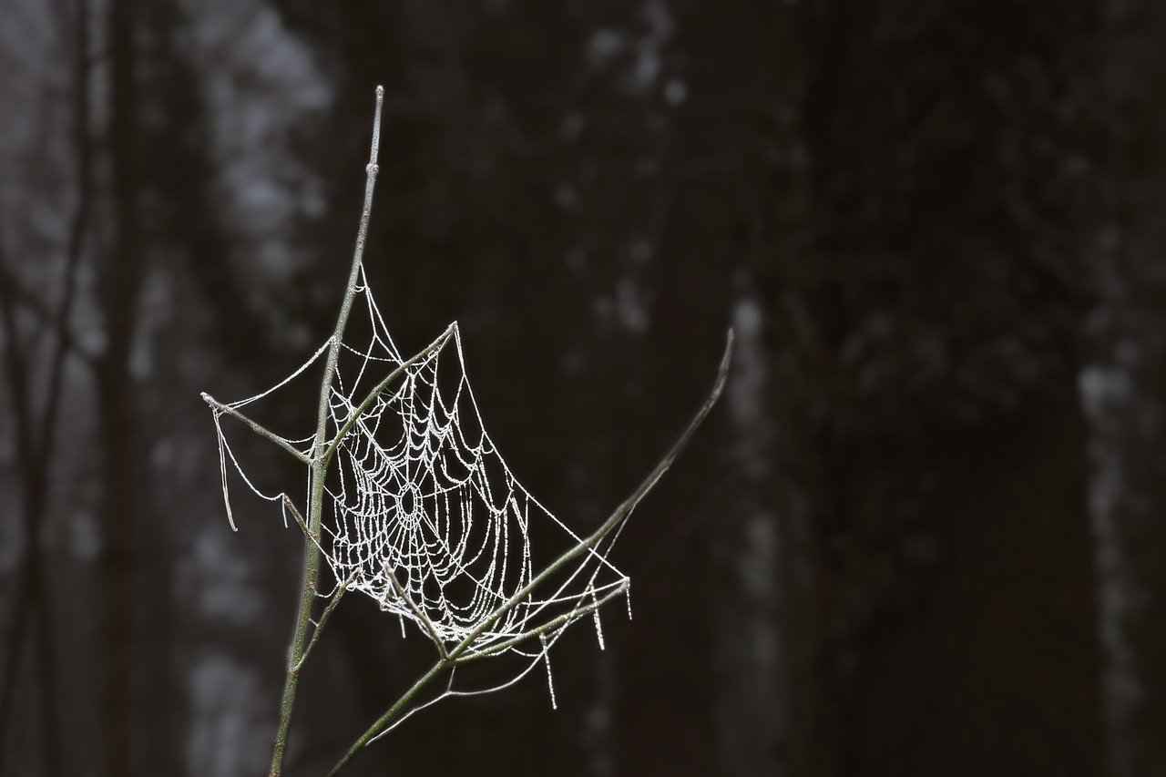 Temrin Defteri Örnekleri