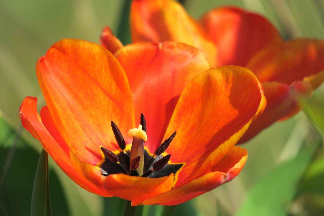 Değiştirilebilir Tükenmez Kalem İçlerinin Avantajları