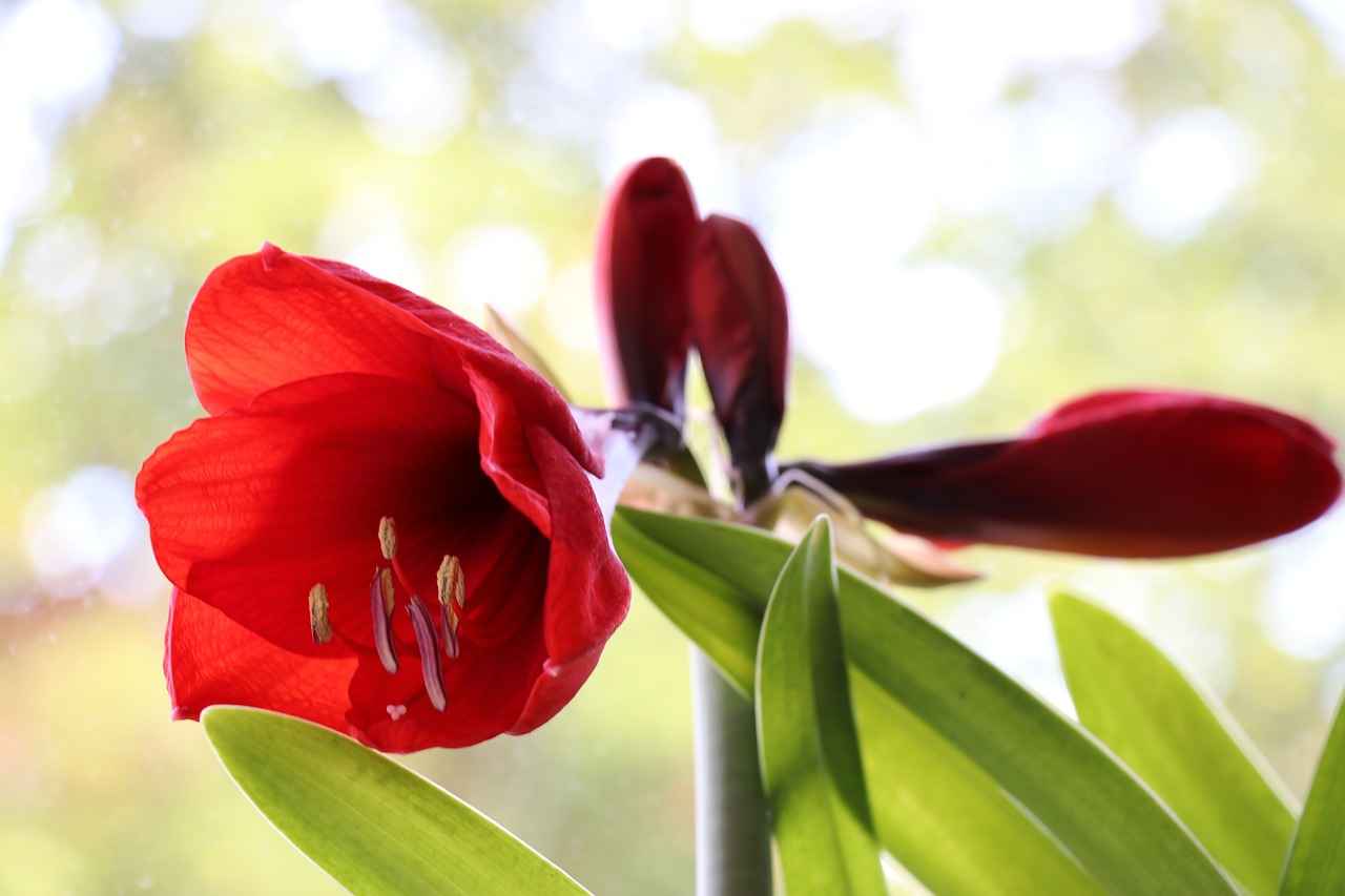 Tükenmez Kalem Setlerinin Avantajları