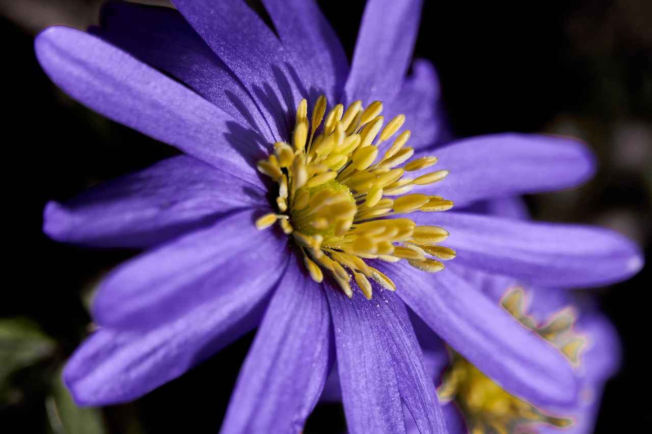 Doğru Kullanım Teknikleri