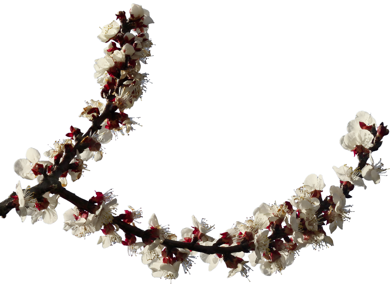 En İyi Mürekkep Markaları ve Ürünleri